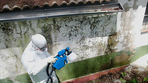 Trusted Mold Inspection service in Saint Thomas, PA - Cheap Mold Removal